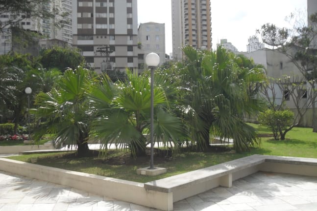 Imagem do imóvel ID-21291 na Rua José Debieux, Santana, São Paulo - SP