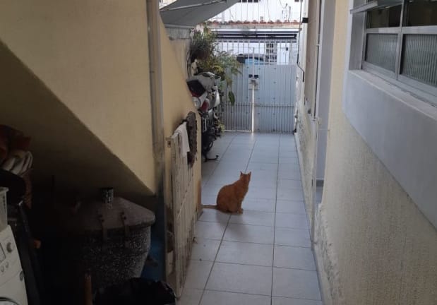 Imagem do imóvel ID-17811 na Rua Durval do Nascimento Miele, Vila da Saúde, São Paulo - SP