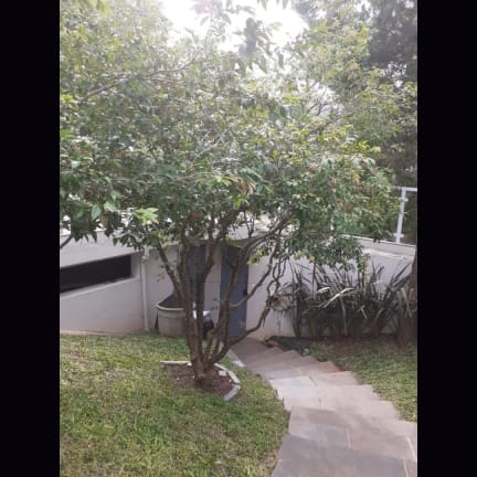 Imagem do imóvel ID-22940 na Rua Constantino de Sousa, Campo Belo, São Paulo - SP