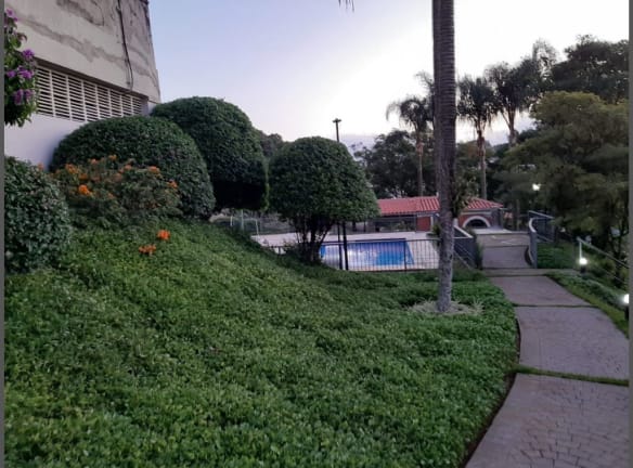 Imagem do imóvel ID-23195 na Rua das Grumixamas, Parque Jabaquara, São Paulo - SP