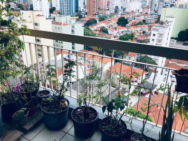 Imagem do imóvel ID-17270 na Rua Espírito Santo, Aclimação, São Paulo - SP