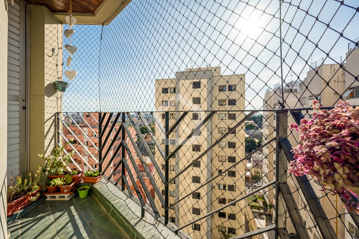 Imagem do imóvel ID-77405 na Rua das Grumixamas, Jabaquara, São Paulo - SP
