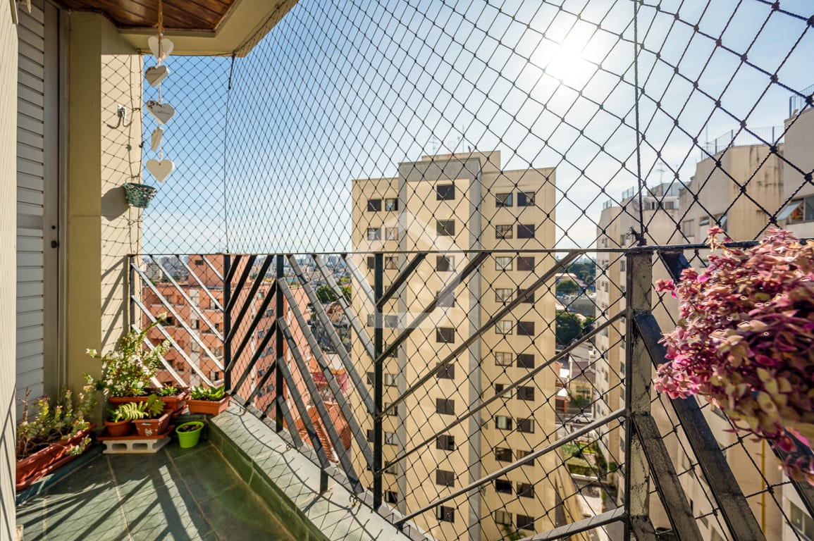 Imagem do imóvel ID-77405 na Rua das Grumixamas, Jardim Oriental, São Paulo - SP