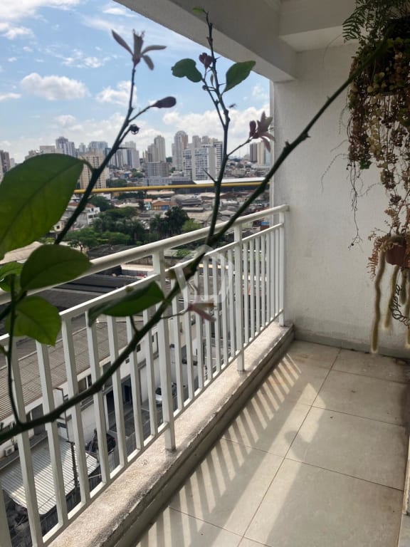 Imagem do imóvel ID-98499 na Rua Campante, Vila Independência, São Paulo - SP