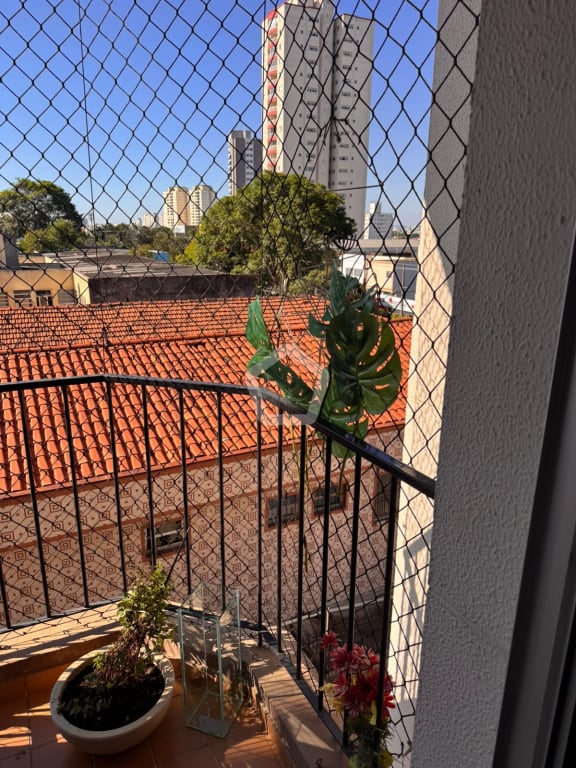 Imagem do imóvel ID-124511 na Rua Viçosa do Ceará, Vila Mascote, São Paulo - SP