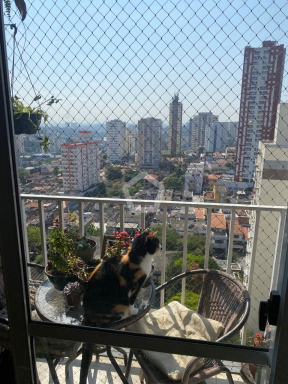 Imagem do imóvel ID-98521 na Avenida Senador Vitorino Freire, Centro, Diadema - SP