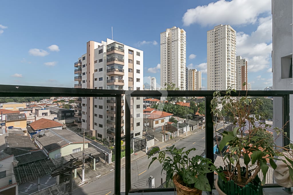 Imagem do imóvel ID-75692 na Rua São Daniel, Vila Brasilio Machado, São Paulo - SP