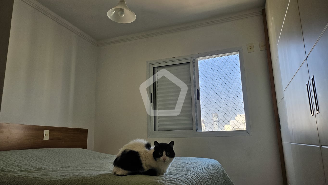 Imagem do imóvel ID-144799 na Rua Tijuco Preto, Tatuapé, São Paulo - SP