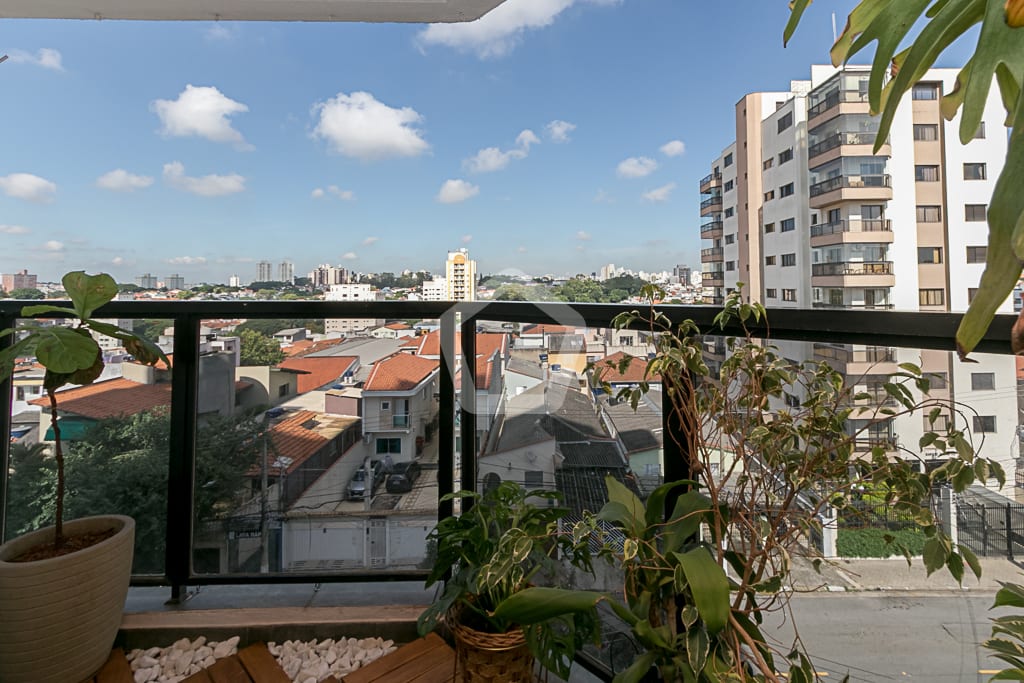 Imagem do imóvel ID-75692 na Rua São Daniel, Vila Brasilio Machado, São Paulo - SP