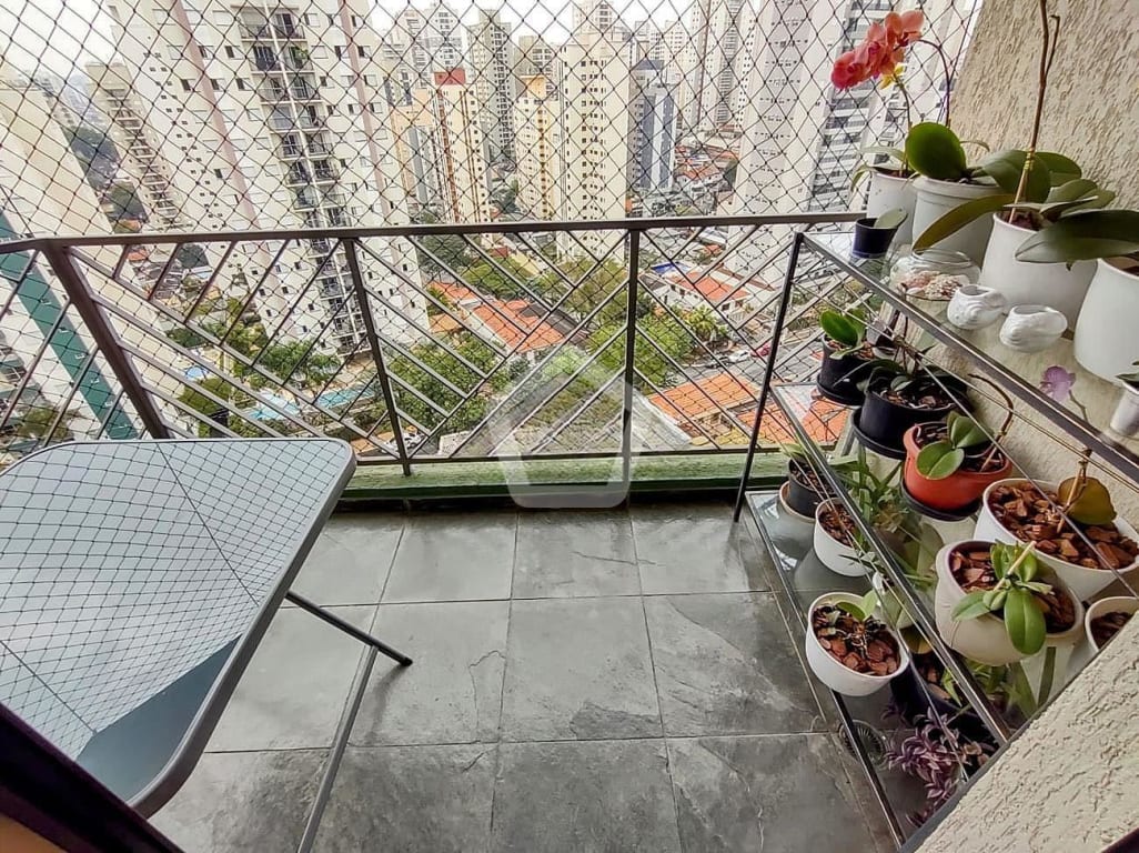 Imagem do imóvel ID-85231 na Rua Caramuru, Vila da Saúde, São Paulo - SP