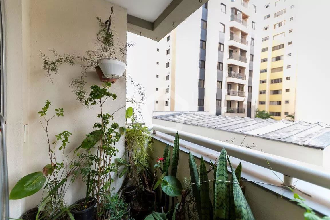 Imagem do imóvel ID-87701 na Rua Jaci, Chácara Inglesa, São Paulo - SP