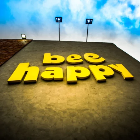 Bee Happy Casa de festas