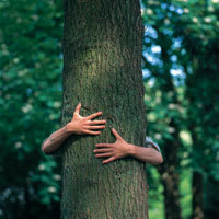 Bos- en Natuurbeheer