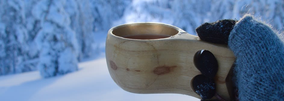 Restonomi (AMK) | monimuotototeutus Restonomi (AMK) | päiväopinnot
