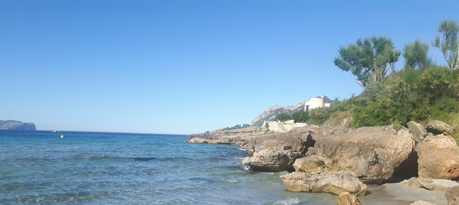 Svenska skolan Mallorca Ekonomiprogrammet, Juridik