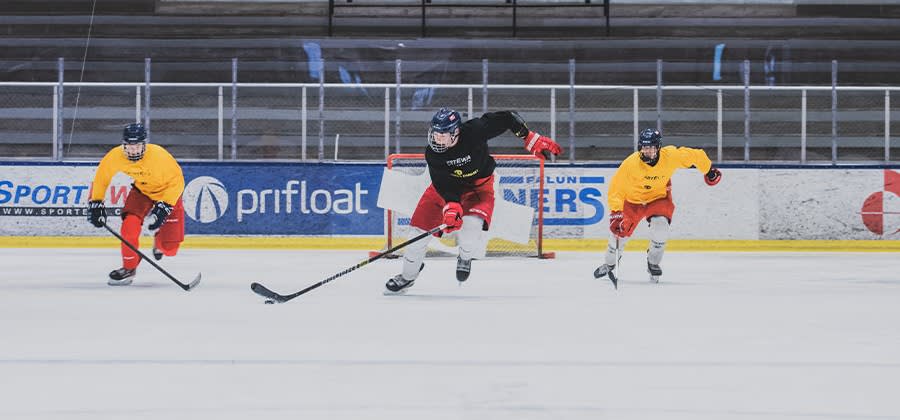 Ishockey