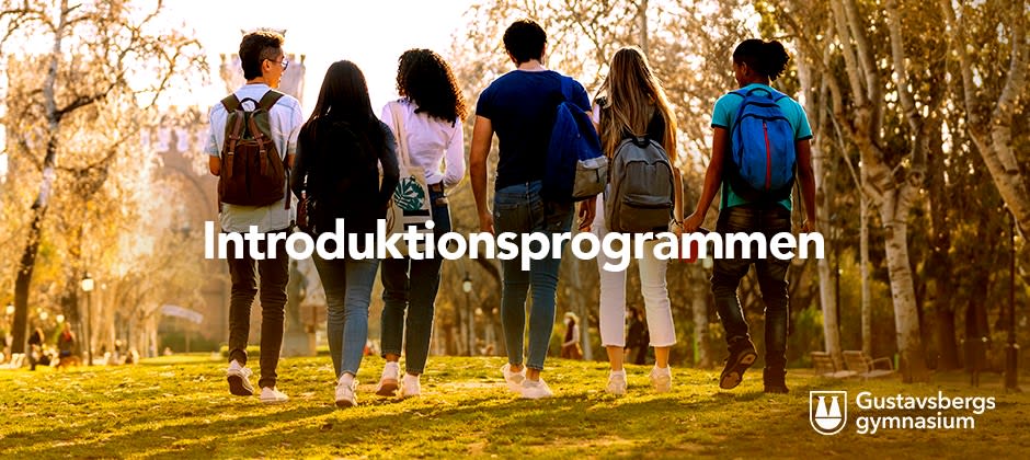 Introduktionsprogrammet