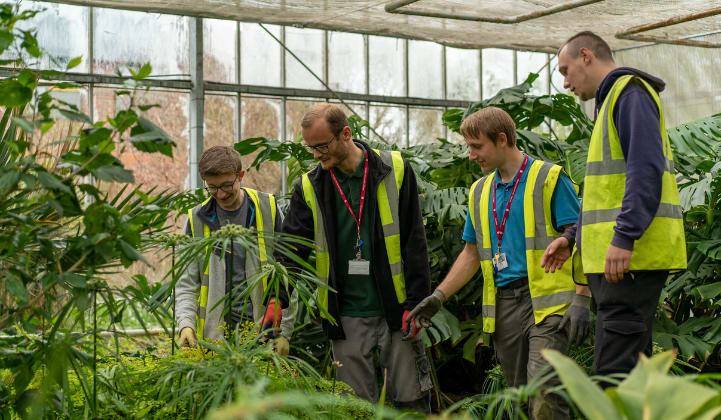 Level 2 Apprenticeship Horticulture and Landscape Operative, Writtle ...