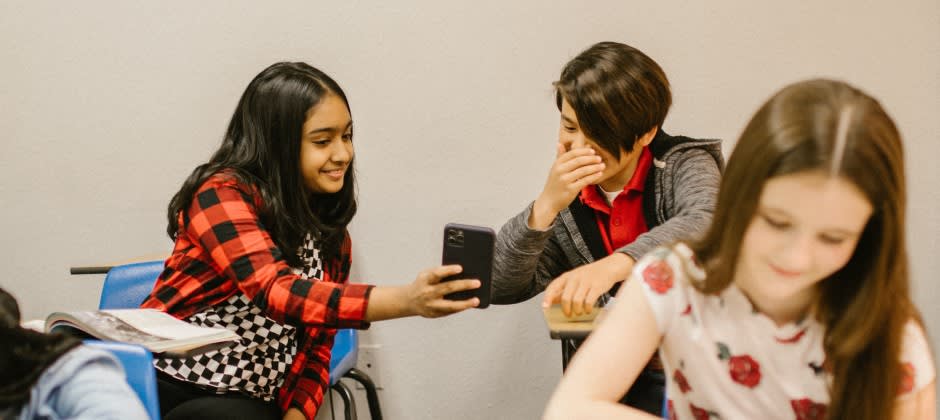 Cady Utbildningar Distanskurs inom näthat och gromning online / Cady Utbildningar