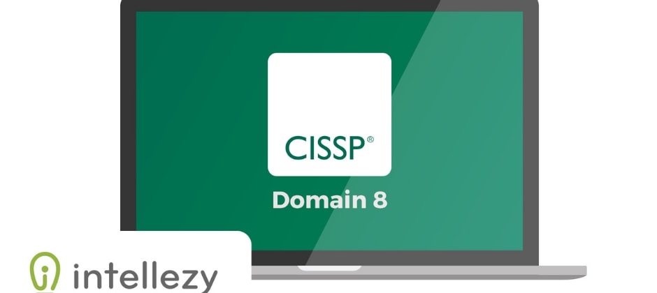 CISSP - Domain 8 - Security in the Software Development Life Cycle