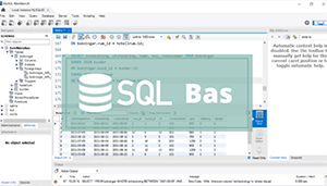Grunderna i databaser och SQL, Learnesy