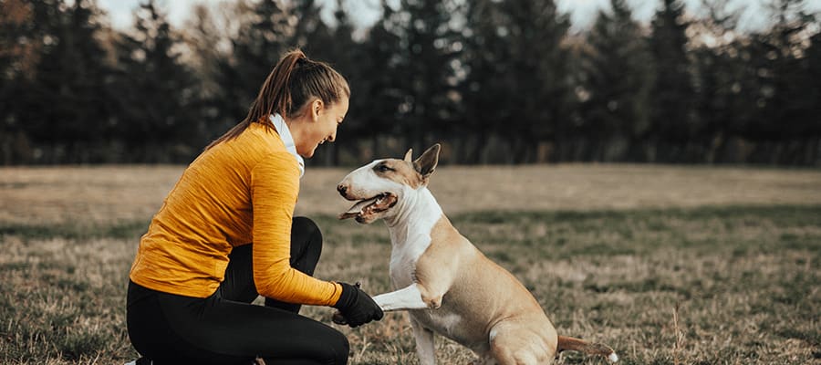 Naturbruksprogrammet, Djur: Hund