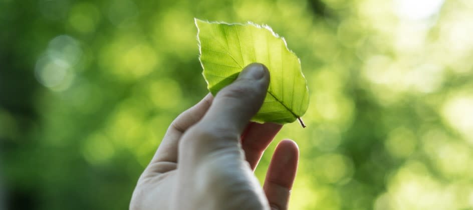 Yrkesutbildning till miljöpedagog / Cady Utbildningar