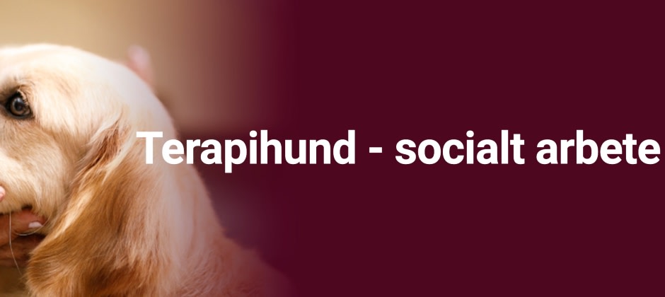 Hund Hund