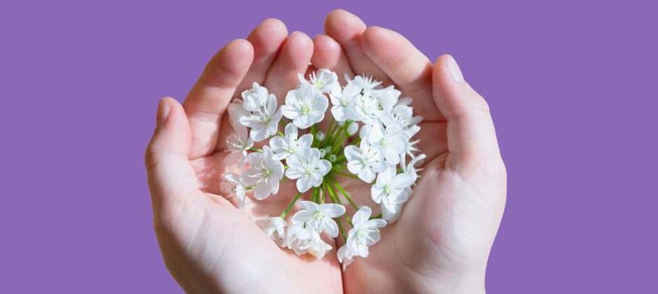 Händer håller försiktigt i vit blomma