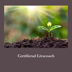 Livscoach