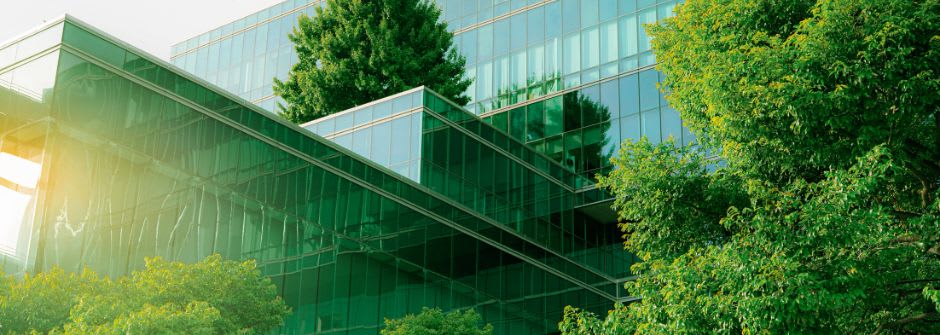 ST-Akatemia ESG ja kestävyys hallitukselle ja yritysjohdolle | ESG for board members
