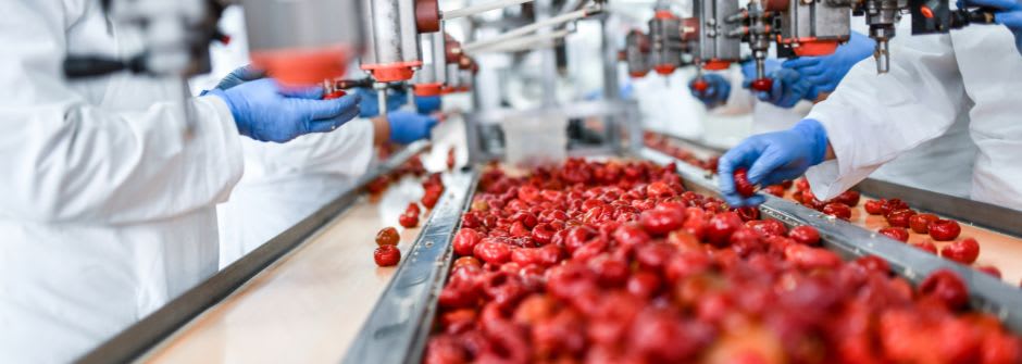 Food Processing Technology | Master of Science in Technology, LUT-yliopisto