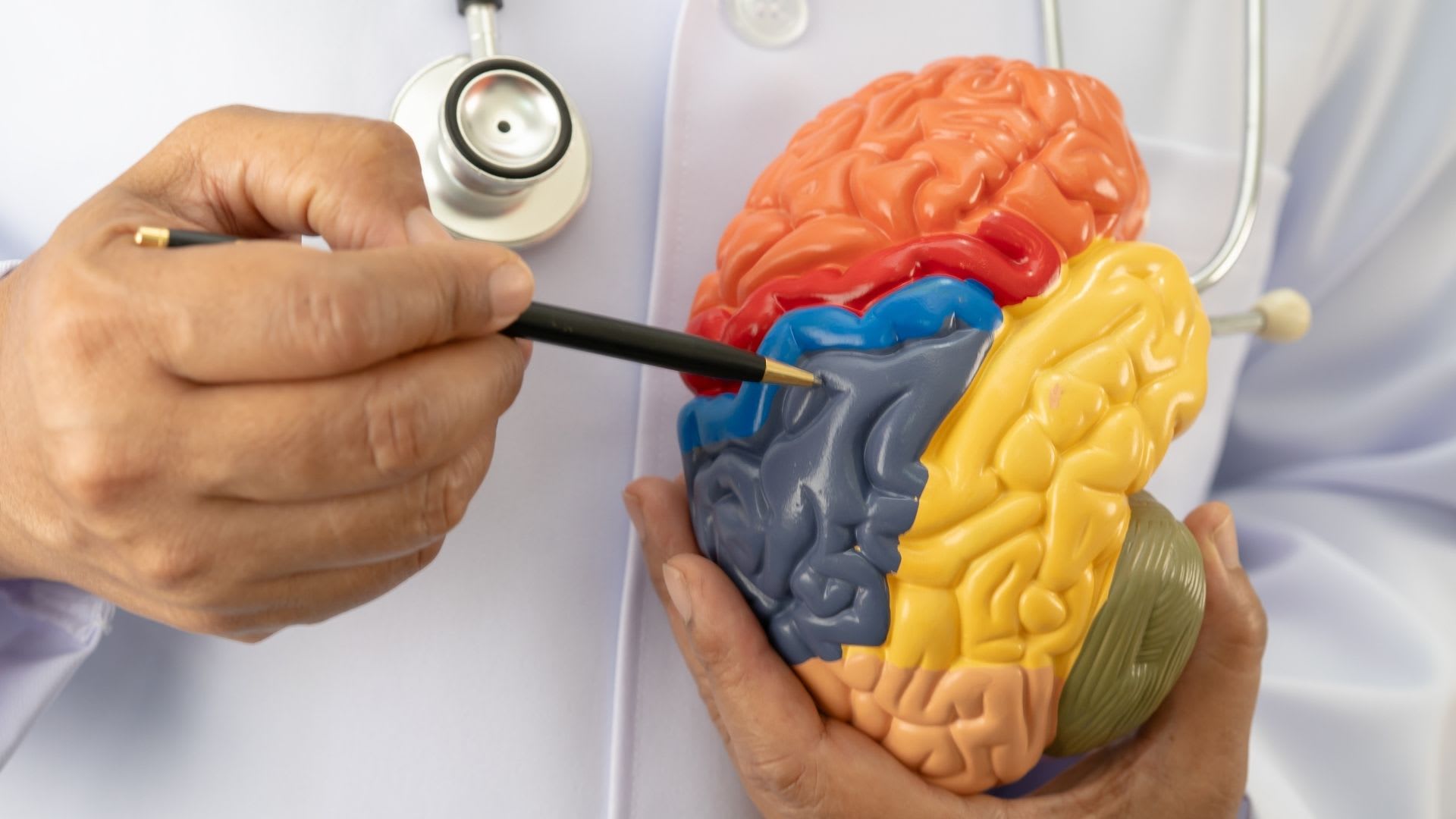 Certifierad Neuropsykologisk coach (NPF), Academy Online
