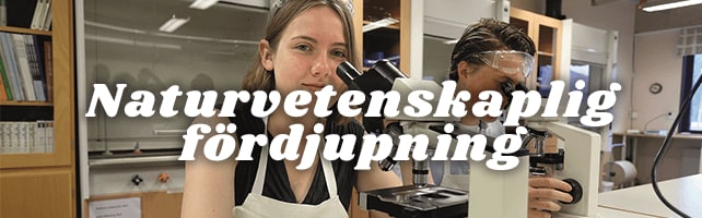 Naturvetenskaplig fördjupning