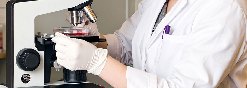 Laboratorioanalyytikko, AMK