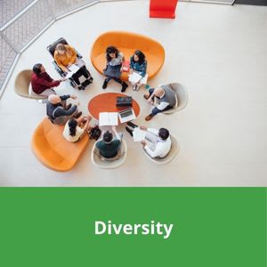 diversity-guide