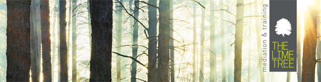 The Lime Tree - Mediation opleidingen