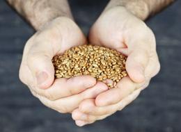 HAS Kennistransfer en Bedrijfsopleidingen