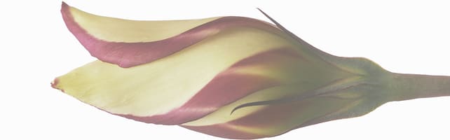 studierichting Natuurwetenschappen