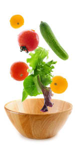 Voeding Studierichting