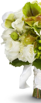 Bloem en design Bloem en design