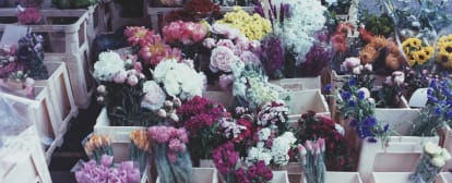 Floristry