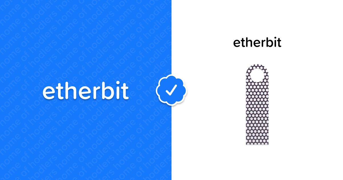 Etherbit Skin for Ledger Nano S Plus - M...