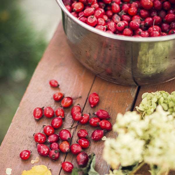Şebinkarahisar Doğal Kuşburnu (C Vitamini Deposu)
