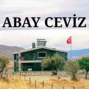 www.abayceviz.com