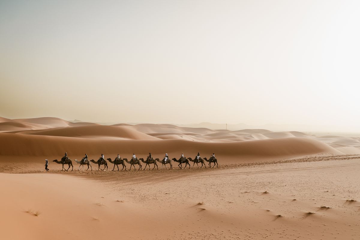 A camel caravan crossing the golden Erg Chebbi dunes near Merzouga