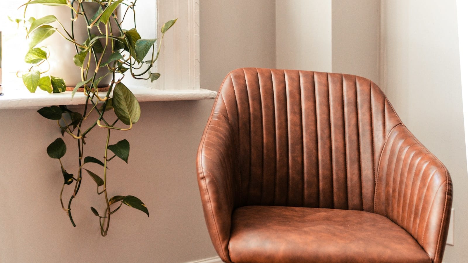 Rattan vs. Wicker vs. Cane: What's the Difference?