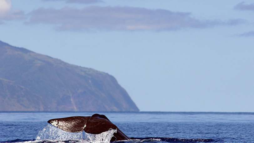Island Hopping in the Azores — view 6