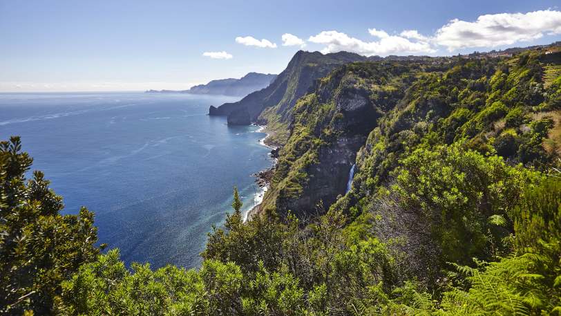 Marvels of Madeira Walk — view 2