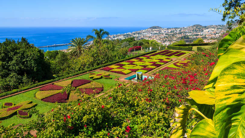 Marvels of Madeira Walk — view 9
